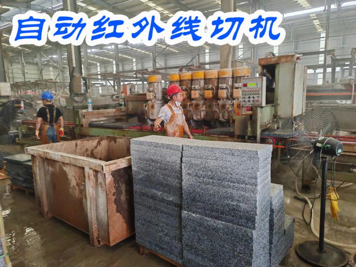 自动红外线切机